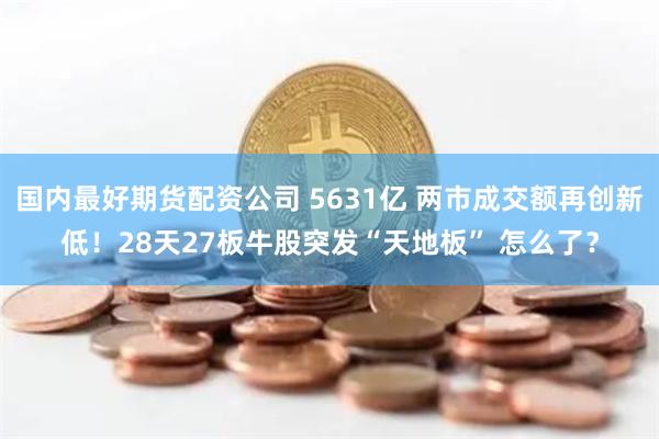 国内最好期货配资公司 5631亿 两市成交额再创新低！28天27板牛股突发“天地板” 怎么了？