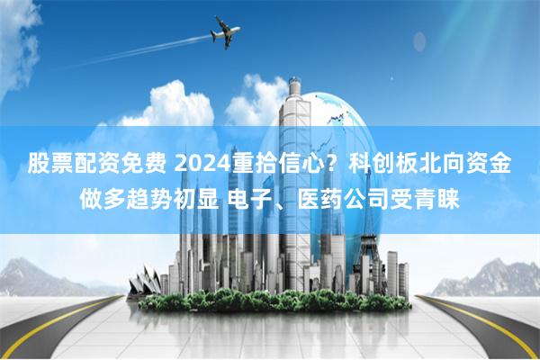 股票配资免费 2024重拾信心？科创板北向资金做多趋势初显 电子、医药公司受青睐