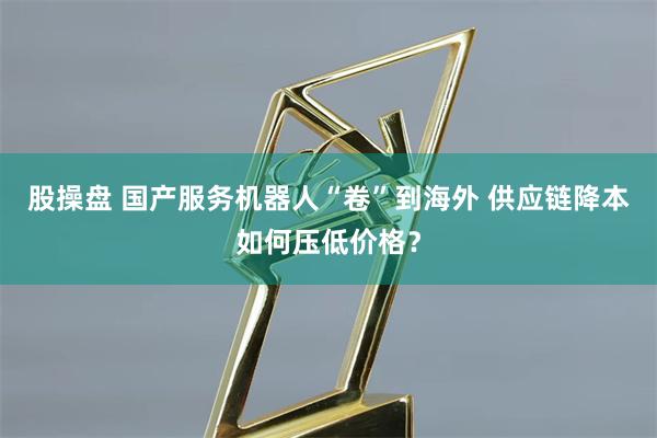 股操盘 国产服务机器人“卷”到海外 供应链降本如何压低价格？