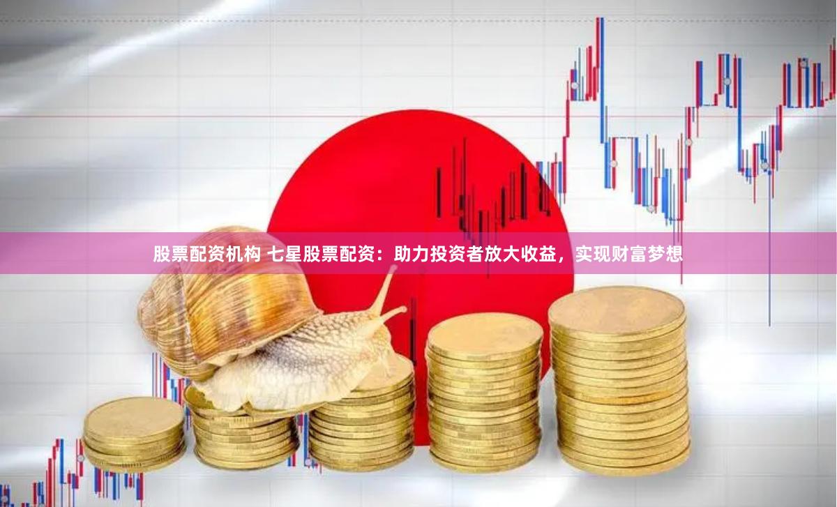 股票配资机构 七星股票配资：助力投资者放大收益，实现财富梦想