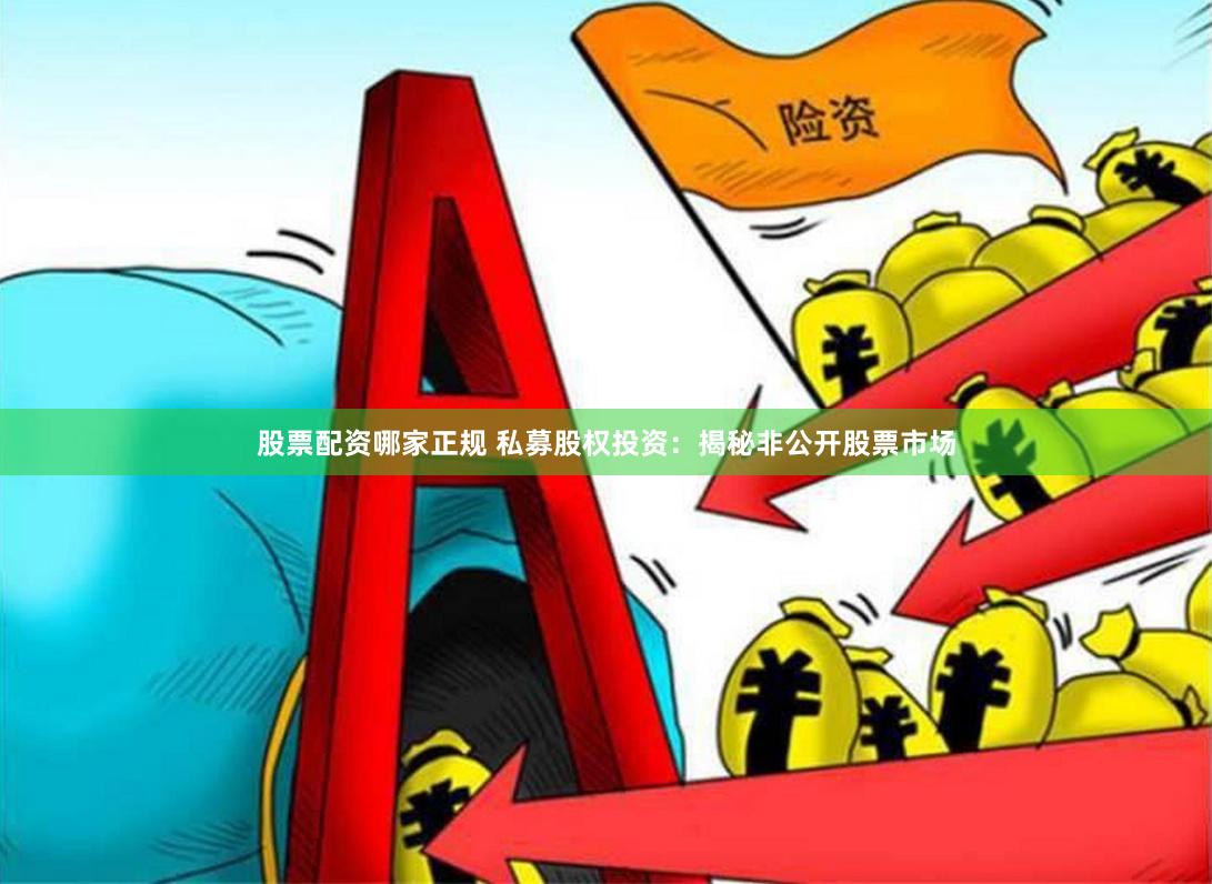 股票配资哪家正规 私募股权投资：揭秘非公开股票市场