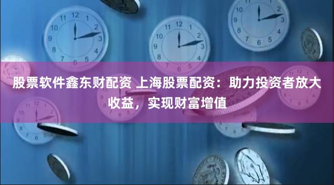 股票软件鑫东财配资 上海股票配资：助力投资者放大收益，实现财富增值